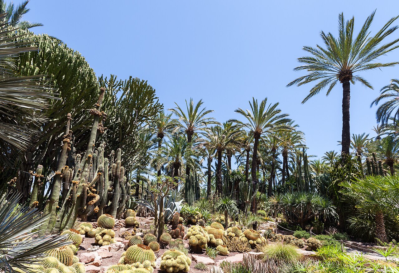 Huerto del Cura